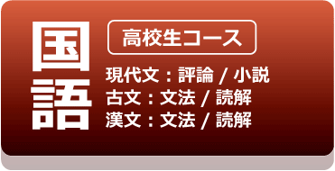 国語：現代文/古典/漢文