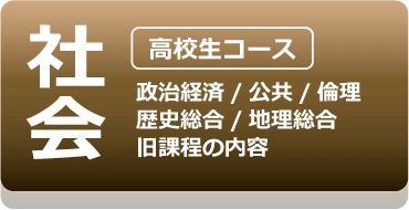 社会：政治経済/現代社会/世界史/日本史/地理/公共/歴史総合/地理総合