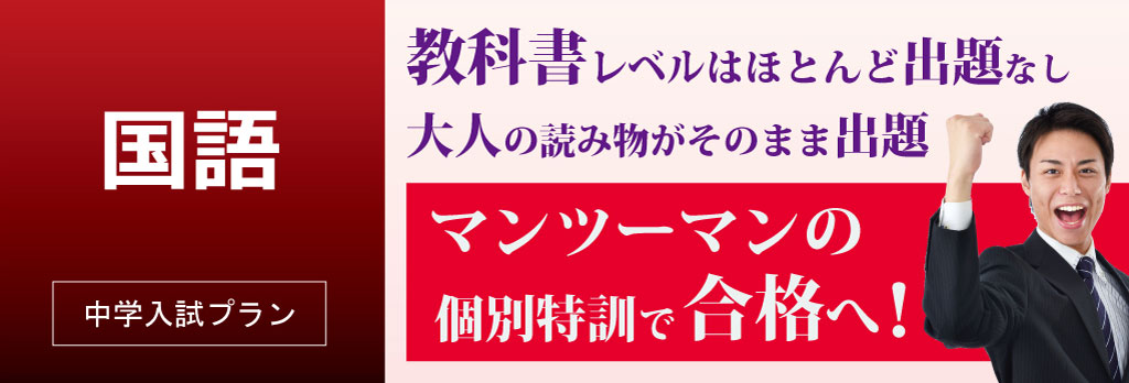 国語-マンツーマンの個別指導で合格へ