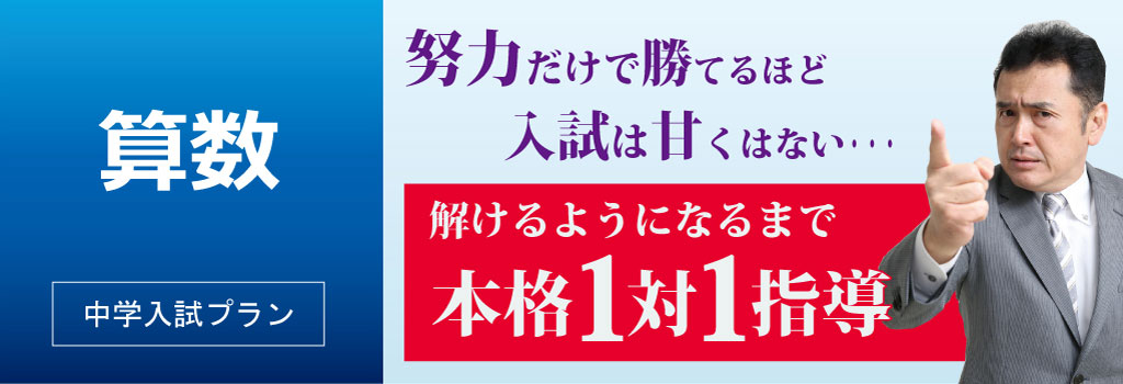 算数-努力だけで勝てるほど甘くはない/解けるようになるまで本格1対1指導