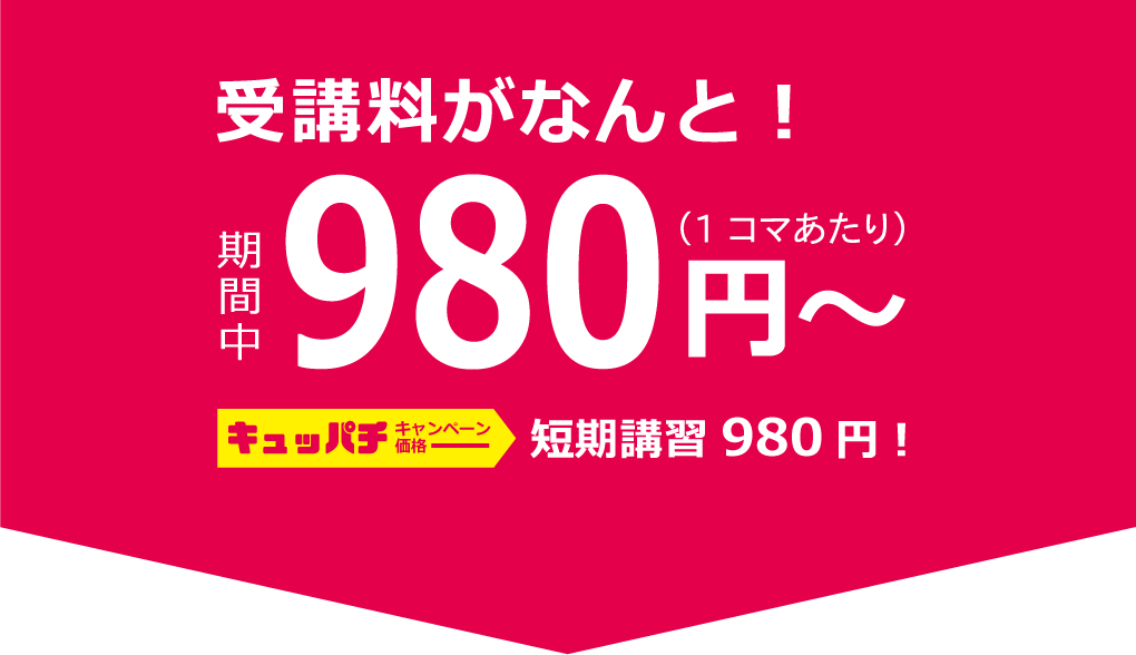 オンライン家庭教師＿980円～